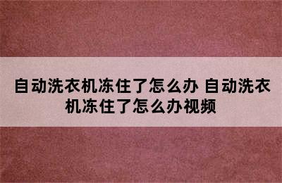 自动洗衣机冻住了怎么办 自动洗衣机冻住了怎么办视频